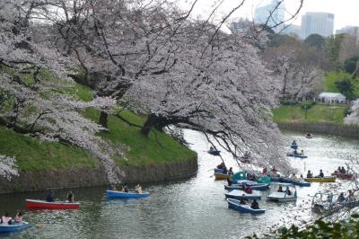 半蔵門ミュージアム見学、靖国神社・千鳥ヶ淵・千鳥ヶ淵戦没者墓苑・三の丸尚蔵館観桜ウオーキング 