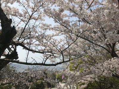 春を満喫したい！高松に行ってきました！！