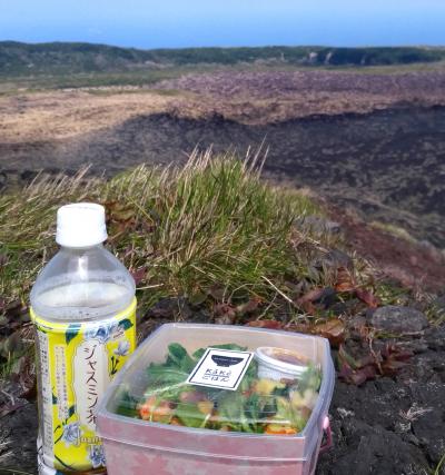 ４月東京アイランド① 伊豆大島リターンズ ～桜は咲いたか 椿はまだあるかいな の巻～