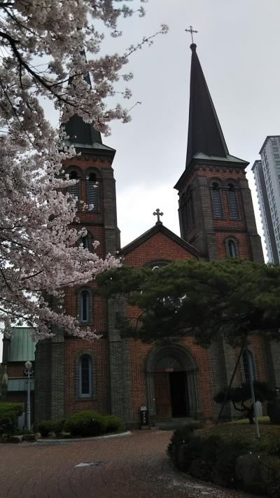 2019_3月 お花見しながら街歩きin大邱 