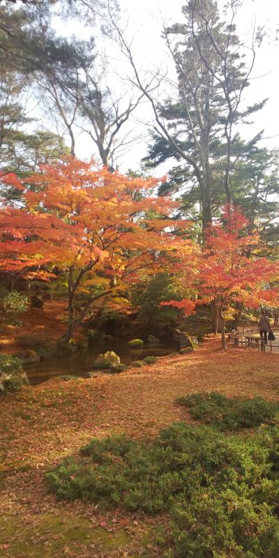 秋を堪能～1泊2日金沢旅行 前半