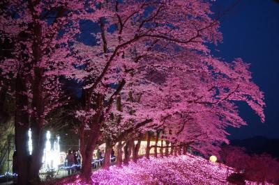 津久井湖 相模湖 夜景 に関する旅行記 ブログ フォートラベル 神奈川県 津久井湖 相模湖 夜景 に関する旅行記 ブログ フォートラベル 神奈川県
