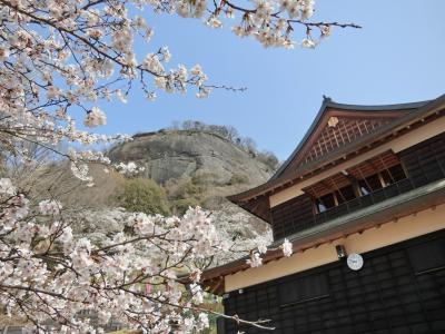 岩殿山　桜祭り