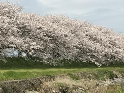 原鶴からの筑後川温泉です。