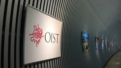 【沖縄観光】絶景が見たければ沖縄科学技術大学院大学OISTへ行ってみよう