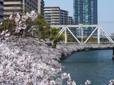 ２０１９年桜　桜の宮から大阪城