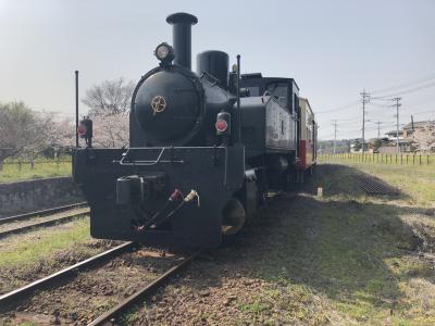 菜の花のトロッコ列車と へけけ家のNゲージ