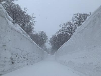 201903-09_八甲田ウォーク（Bコース）Hakkoda Walking (Aomori)