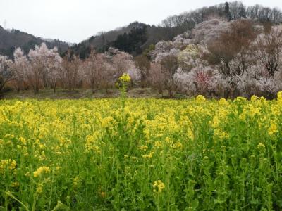 ２０１９年４月 青春１８きっぷ日帰り福島