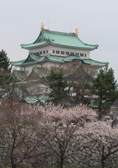 名古屋③名古屋城