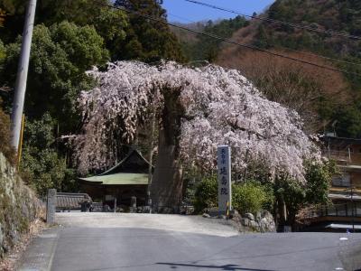 滝春 赤白 2013 Kawasaki ZX-14R Now Available With Optional ABS