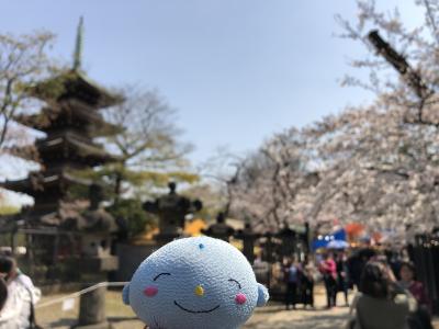2019年　東京の桜めぐり