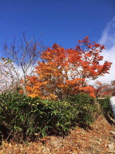 栗駒山登山秋編