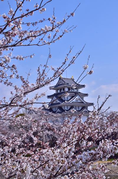 すのまた（墨俣一夜城）桜まつり