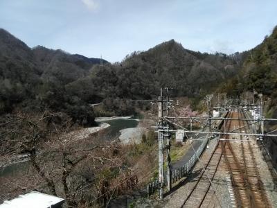 歩いて 秘境駅から秘境駅へ！飯田線７つの秘境駅めぐり⑤（徒歩で 伊那小沢～中井侍 編）