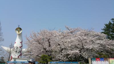 万博記念公園･太陽の塔