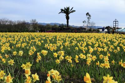 和泉リサイクル環境公園