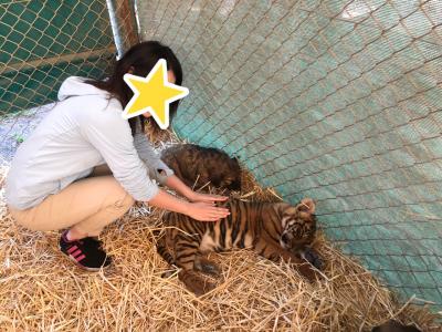 アルゼンチン編②あの猛獣と触れ合えるルハン動物園へ！