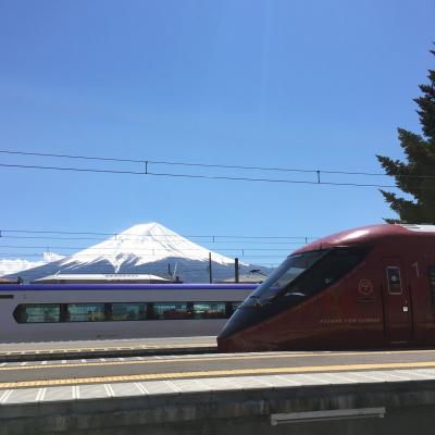 春YAMANASHI（外国人天国河口湖）