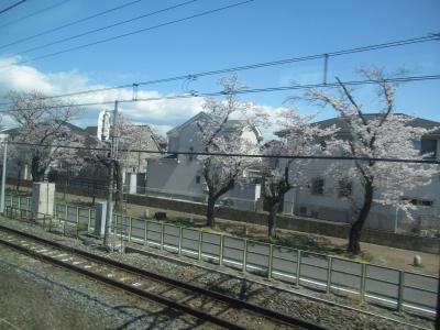 日帰り青春18きっぷで桜を愛でる旅（３）東北本線（久喜から終点宇都宮まで）