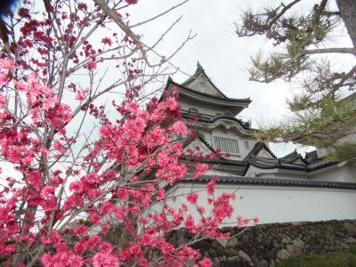 岸和田城の桜