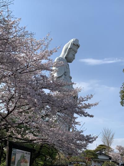 群馬桜名所