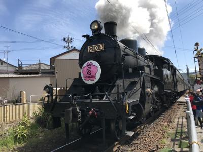 SL大井川鐵道新金谷駅観察：SLの観光駅。