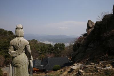 2019年3月エアプサンで行く韓国・盈徳、安東、大邱、釜山の旅（4）釜山金剛公園で桜を見てきました。