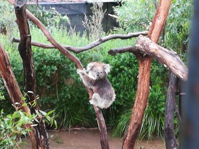 1歳と6歳の子連れ旅行　6日目、7日目