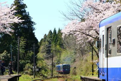 能登さくら駅に行って、撮り鉄しちゃいました。