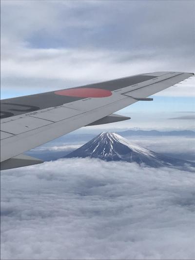 京都パワースポット巡り