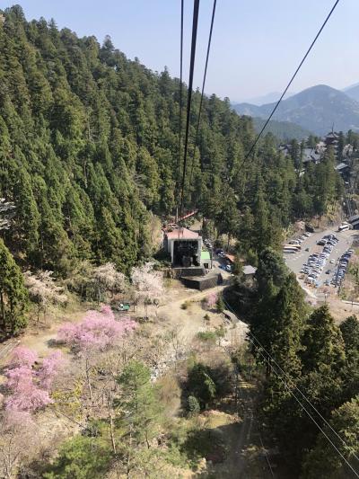 日本３大桜の山高神代桜と甲府へ 2日目