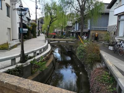 下田観光は楽しい！下田グルメは干物ですよ。Maasよりも車が便利ですね。特に子連れではね。