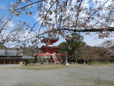 春休み★四男とママ二人旅シリーズ♪京都へ帰省の巻