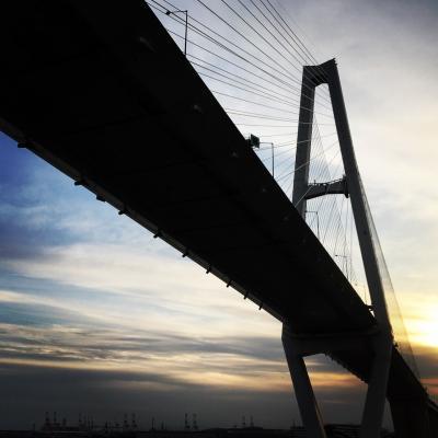 にっぽん丸ワンナイトクルーズ