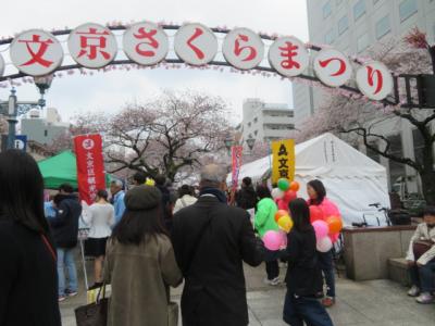目白駅前から目白・目赤・目黄不動巡り護国寺・吉祥寺を参拝・散策して文京さくらまつりを見ました