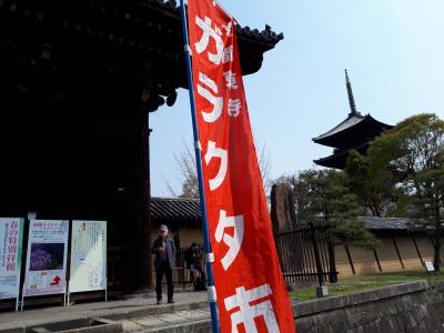 4月の第1日曜日は東寺で花見とガラクタ市