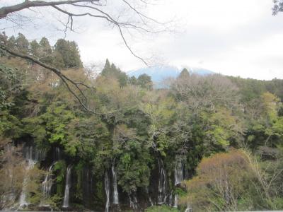 富士宮 お参りだっ！やきそばだっ！白糸の滝だっ！…富士山だぁ！