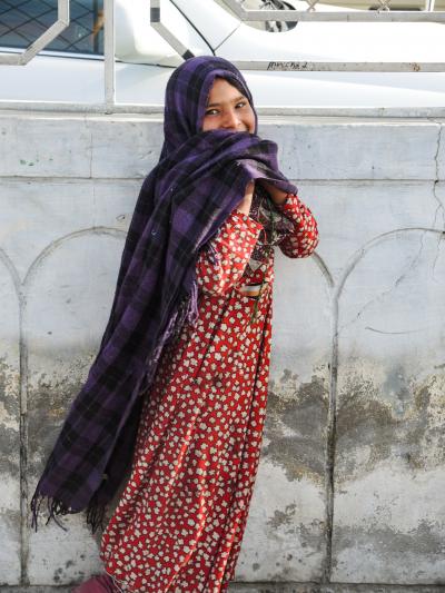 パキスタン　フンザ2019･･･（2）カラコルムハイウェイ2日目　雪山とアンズの花　チラスからカリマバード