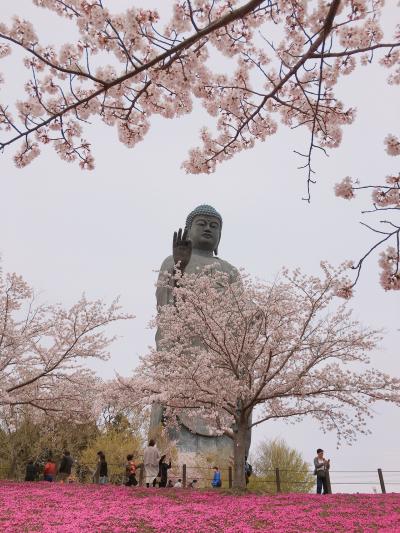 牛久の大仏様に会いに行きました