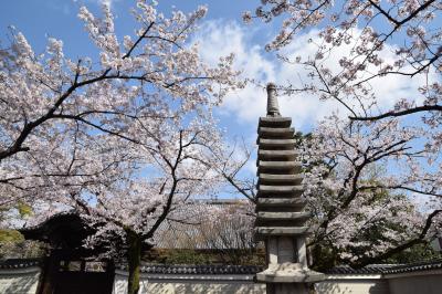 ひとりお花見部2019③　今出川北エリア路地塗りつぶしで桜探しに花御堂 と 南座都をどり 二日め前半篇