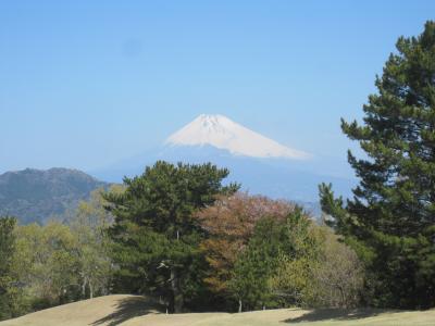 お花見ゴルフ。