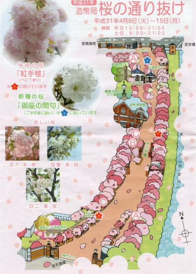 造幣局桜の通り抜け　Ver.2019　＋とある休日の出来事（関西編Ver.10）