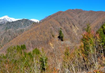 傘山（１５４２ｍ）　南・中央アルプスの展望台