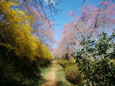 春の福島の旅　№２