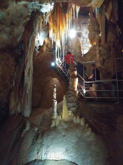 day3 世界最古の鍾乳洞・ジェノランケーブへ[19&#39; 子連れ（8歳小2）オーストラリアの旅]