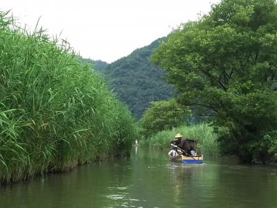 伊吹山登山と北近江の旅