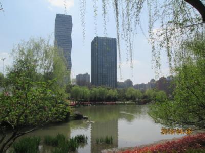 上海の伊梨路・新虹橋中心花園・2019年春
