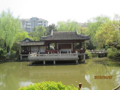 上海の辛庄・辛庄公園・2019年春