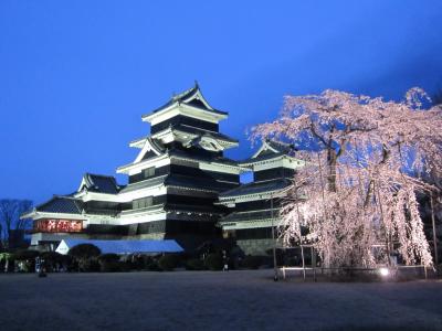 ’１９　信州 桜＆城めぐり１０　国宝松本城夜桜会＆ブックカフェ 栞日